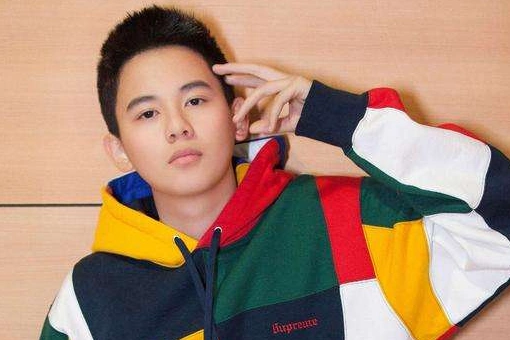 饰演少年宋耀如(阿虎) 10,小别离:2016-08-15:饰演张小 11,快乐酷宝第