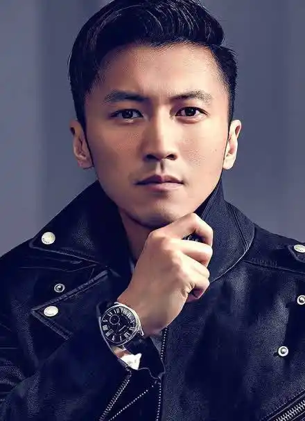 这个时候应该是谢霆锋颜值巅峰的时期吧