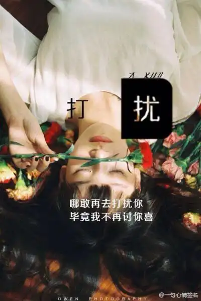 收集   点赞  评论  虽然现在不再打扰你了 但是我一直都在 wsh 你要