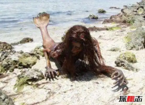 其实一直以来,民间关于鲛人的传说就有很多,这世界真的有"美人鱼"吗