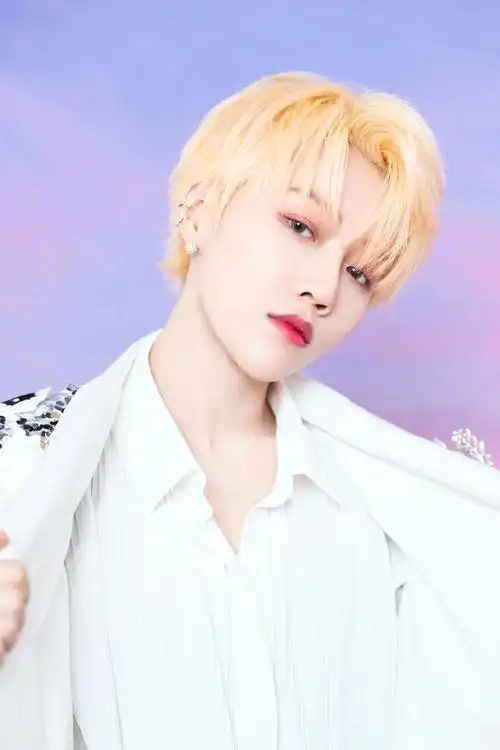 刘雨昕图片_刘雨昕亮片大衣时髦写真 _ 图片网