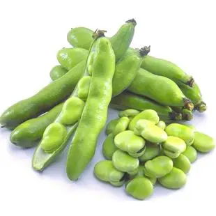 蚕豆壳属于什么垃圾蚕豆壳是什么垃圾