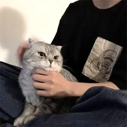 男生头像ins高级质感优质稀有图片