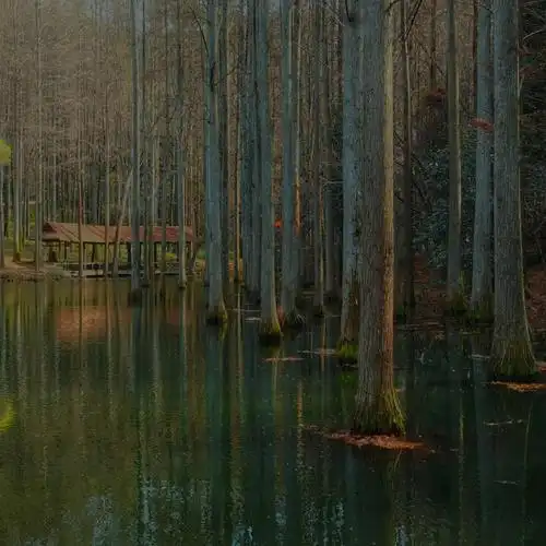 波尔登森林公园