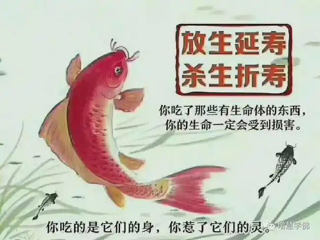 修福报的第一桩事情至少要把不杀生这一条戒守好