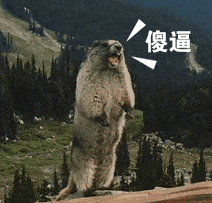 傻逼!(土拨鼠呐喊 gif 动图)_傻逼_动图_gif_土拨鼠_呐喊表情