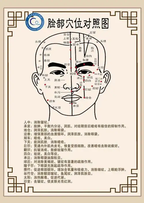 脸部穴位对照图
