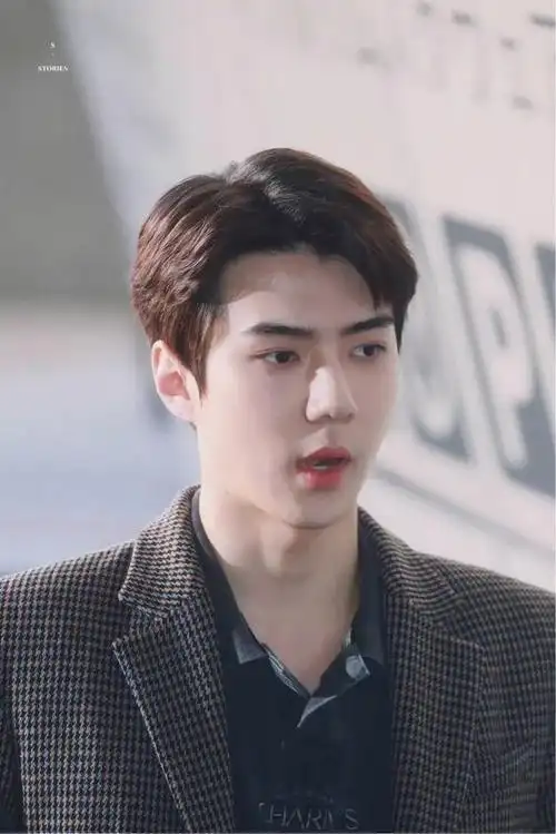 南韩四大神颜男爱豆(四大超颜值的男团爱豆们)(15)