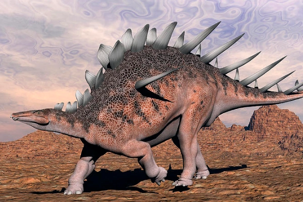 小型剑龙科肯龙背部长有6对尖刺拥有第二脑