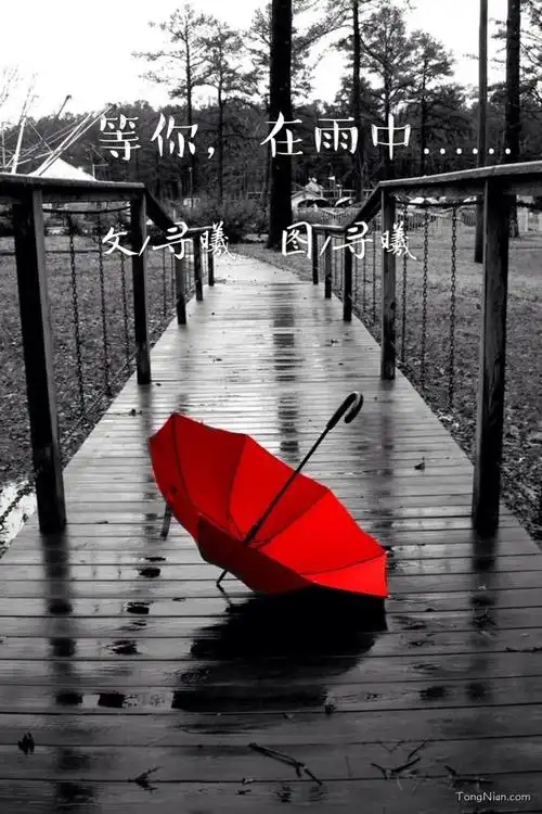 等你,在雨中……【第三人视角】