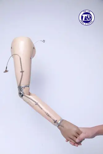 上臂假肢Ⅱ型_北京市残疾人辅助器具综合服务平台北京市残疾人辅助