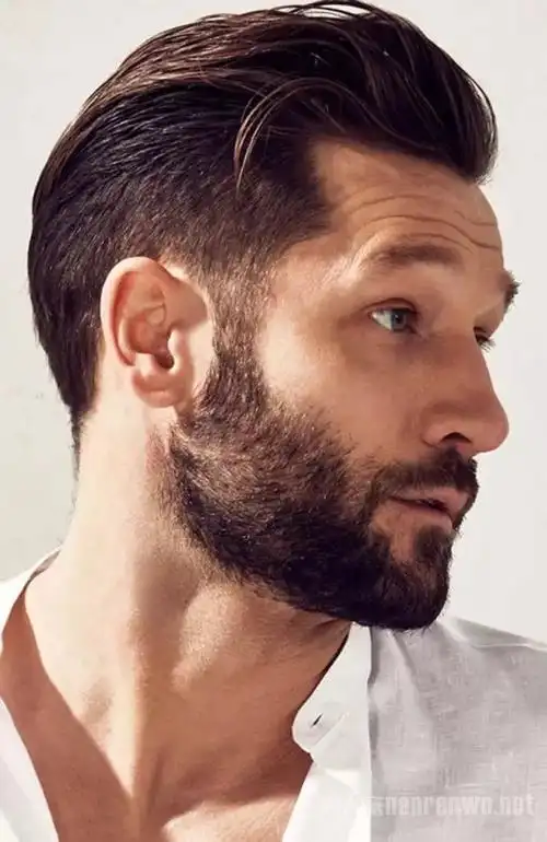 蓬巴杜发型助你进阶熟男 猫王的盛世美颜都少不了它