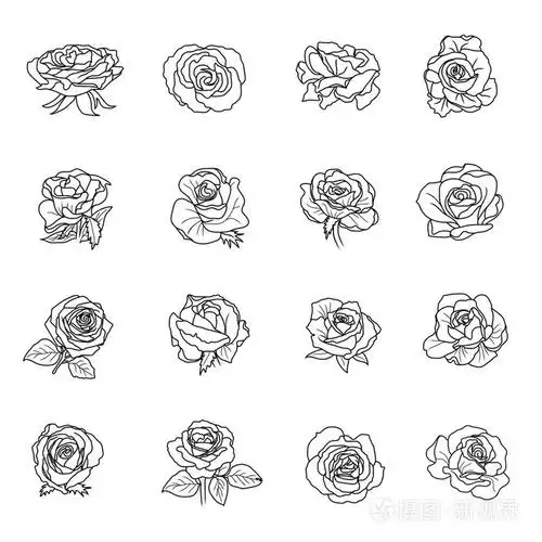玫瑰符号集