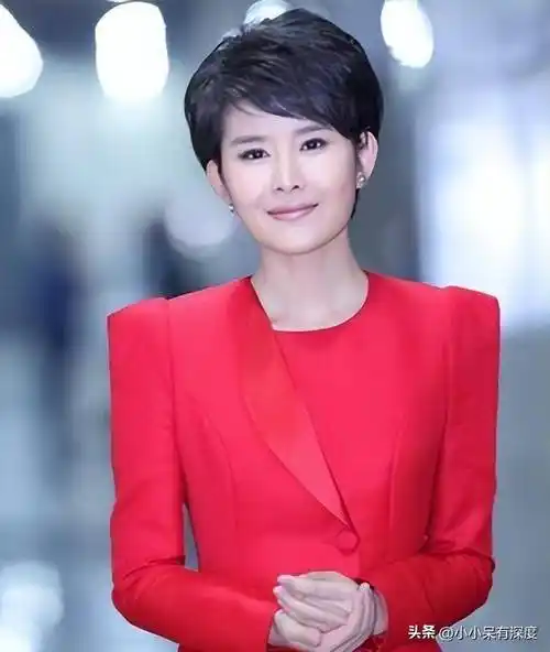 网友:王宁,才是目前央视一姐!_节目_新闻_访谈