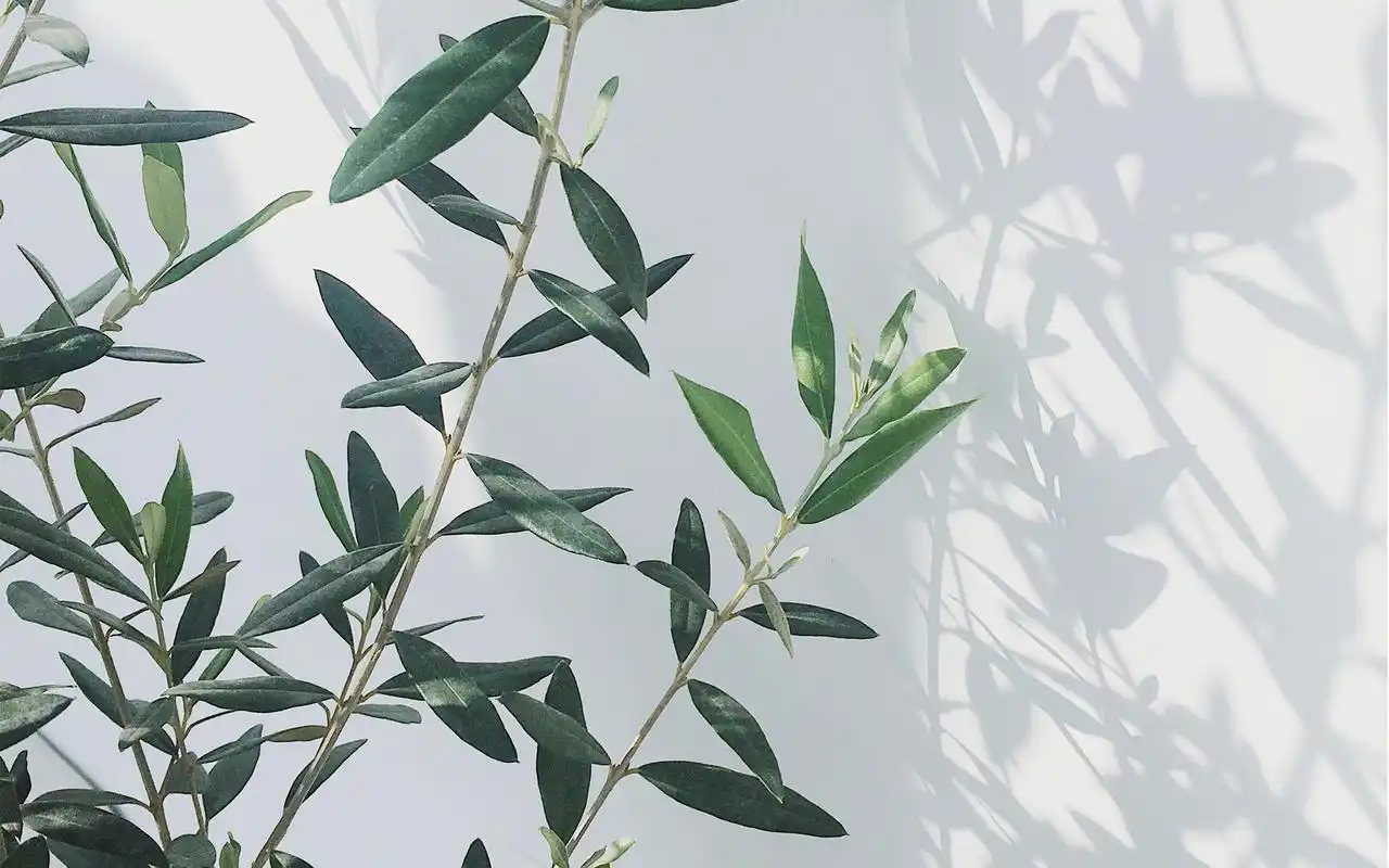 日系胶片风唯美意境高清桌面壁纸