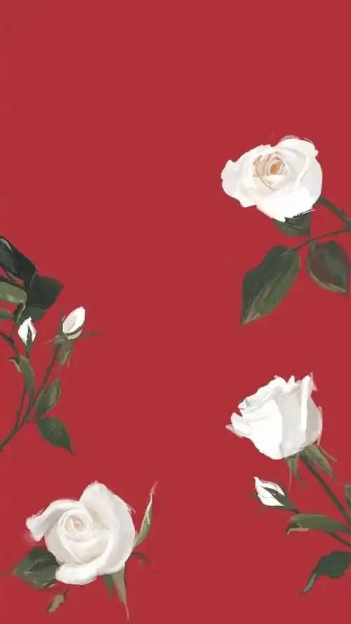 花 红色酒红色系 壁纸