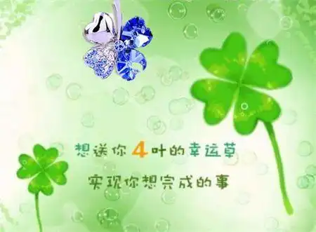 幸运四叶草图片