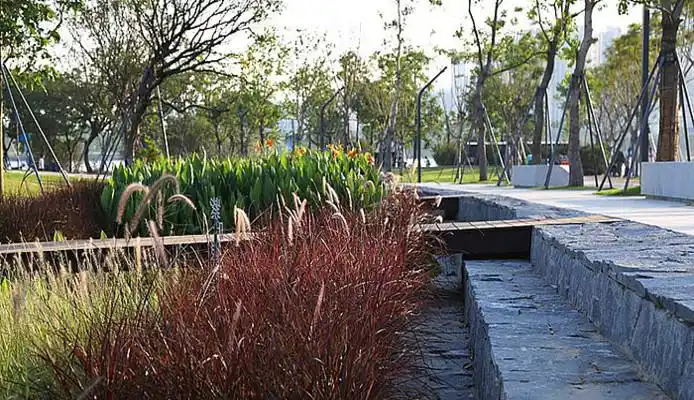 雨水花园效果图