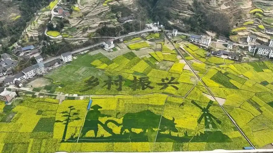 全文丨农业农村部一号文件来了!-智慧宁津