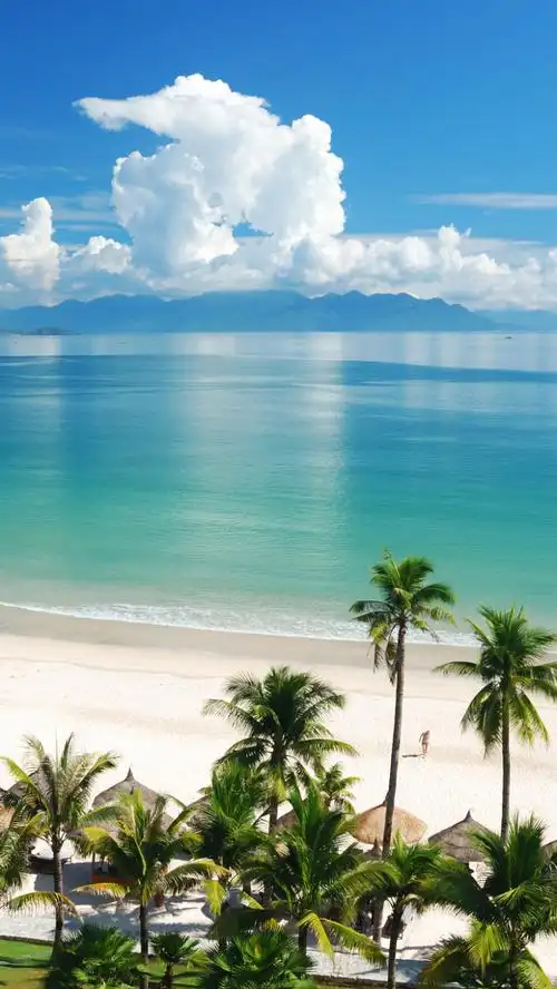 大海自然景色h5背景