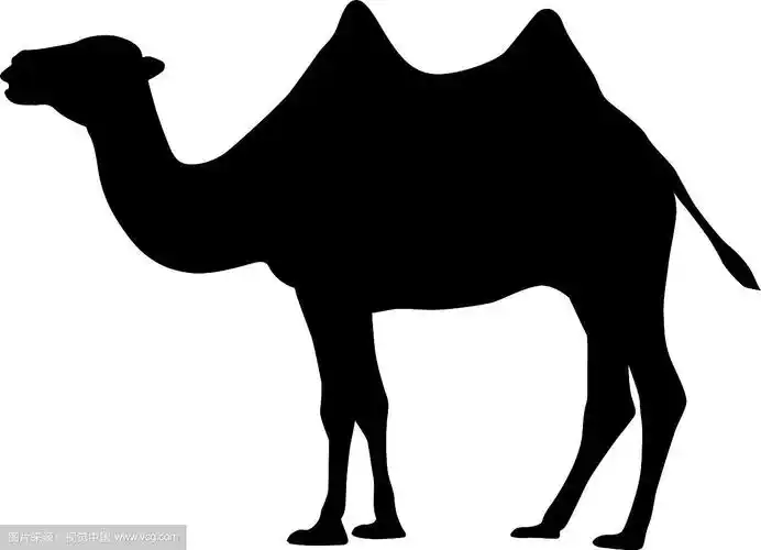 骆驼黑色剪影
