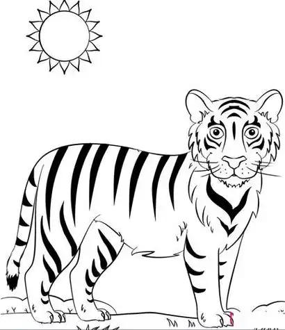 幼儿园老虎简笔画幼儿园老虎简笔画涂颜色