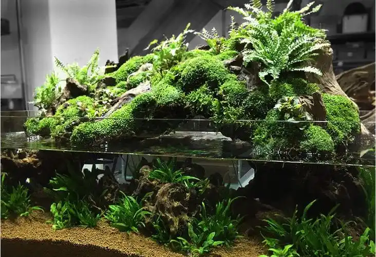 展开全部 生态景观鱼缸啊,就像这样的