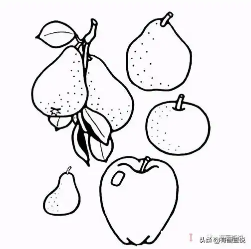 儿童画简笔画临摹素材52张:水果系列画法,收藏备用,在家学画画