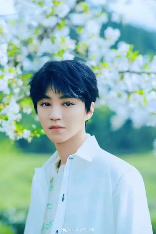 王俊凯金尘茶品牌代言人##王俊凯电影野孩子##王俊凯电影刺猬