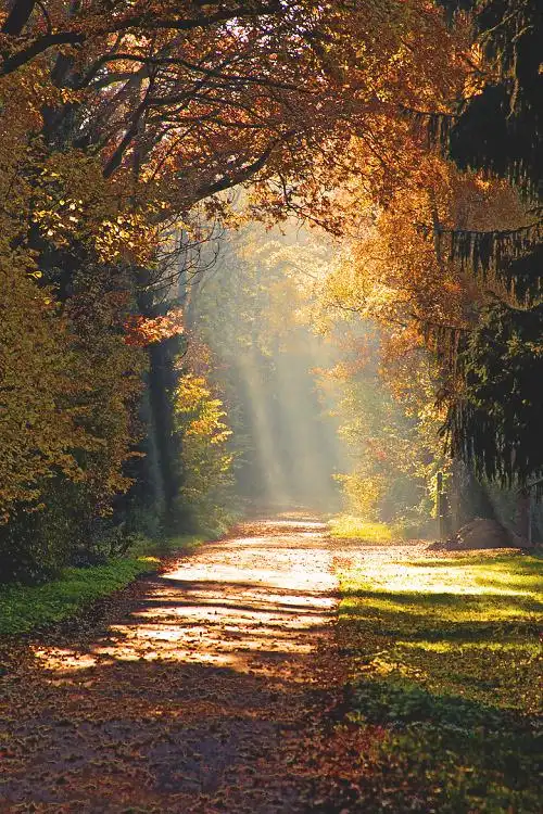 意境森系忧伤风景图片