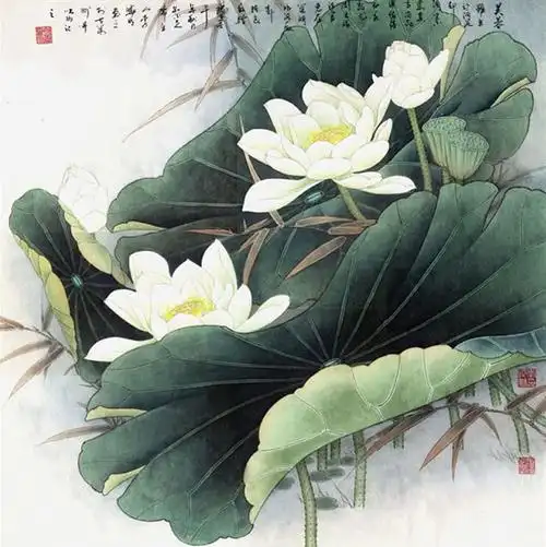 工笔画荷花 - ww561103 - ww561103的博客