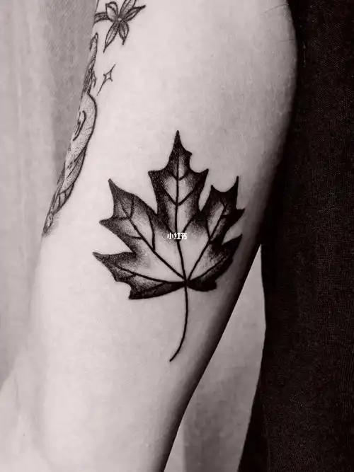 oldschool刺青 | 枫叶