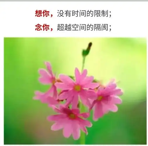 想你~念你~等你~望你