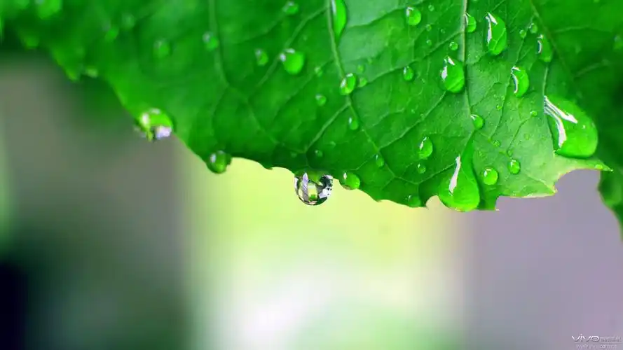 【服务组】1080p全高清壁纸合集,总有你想要的系列三