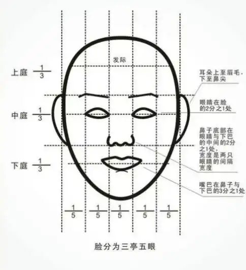 01三庭五眼指的是人的脸长 和脸宽的一般标准比例,如果不符合标准比例