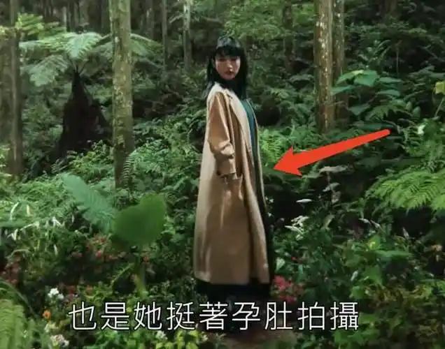 39岁林依晨孕照罕见曝光,备孕7年艰辛求子终成功当妈|怀孕|娱乐圈