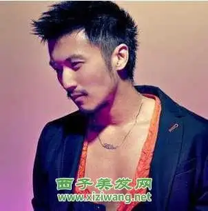 帅哥谢霆锋时尚发型,绝对帅气谢霆锋图片