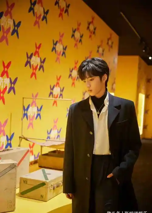 天生勇敢的刘耀文小学时成了练习生如今已是舞台上的发光体