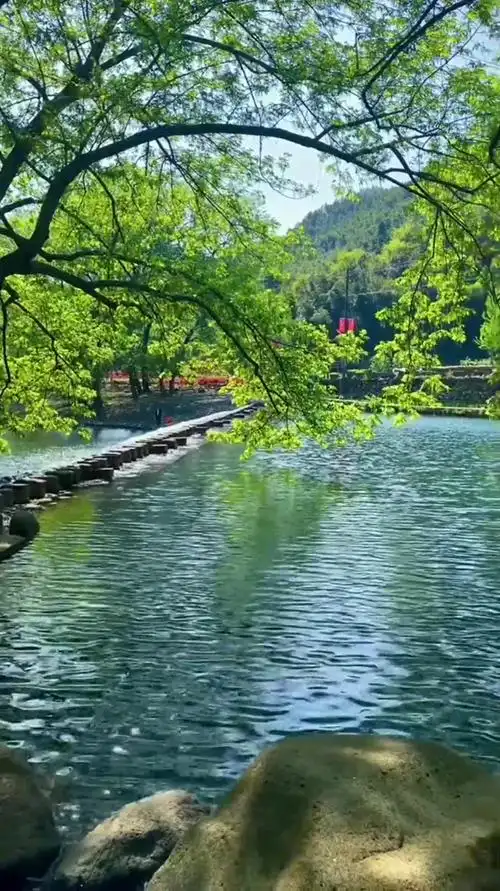 娱乐治愈风景:诗画般的小山村小桥流水人家