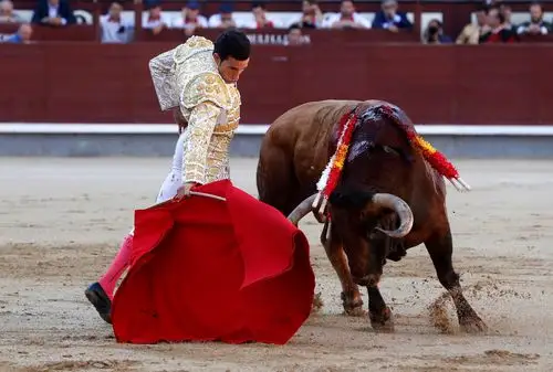 西班牙庆祝圣伊西德罗节_斗牛