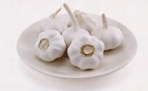 大蒜泡酒可以壮阳吗大蒜泡酒壮阳怎么泡图