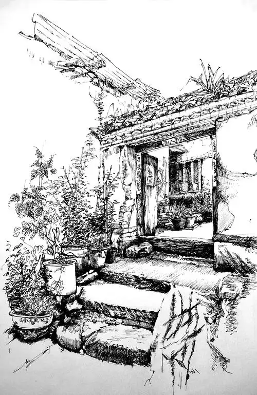 原创作品纯艺术绘画速写手绘风景线条云南写生森林娃娃鱼作业z5