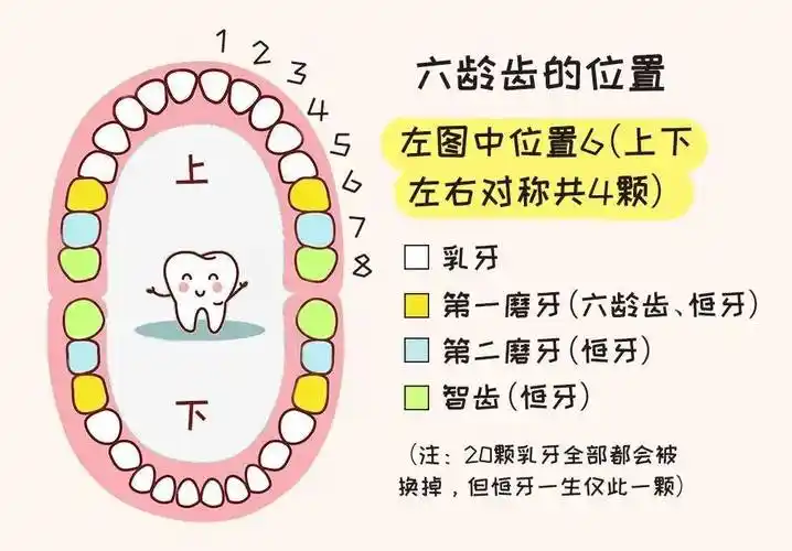 咸阳市第一人民医院@家长朋友们关注儿童牙健康!_牙齿_孩子_不良习惯
