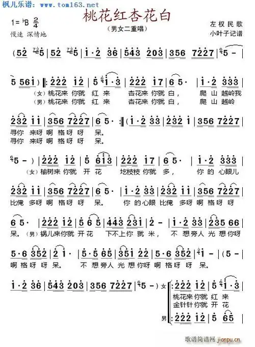 桃花红杏花白男女二重唱