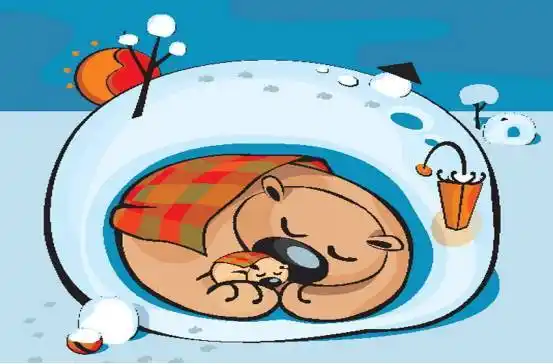 微课堂大世界神奇的动物冬眠二三班家长微课四