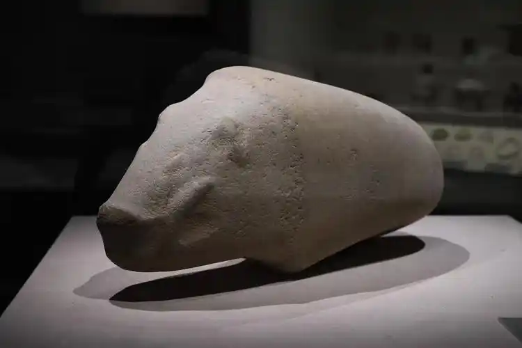 玉猪管丹平告诉记者,考古发现,凌家滩的衰落可能和史前时期的一场大