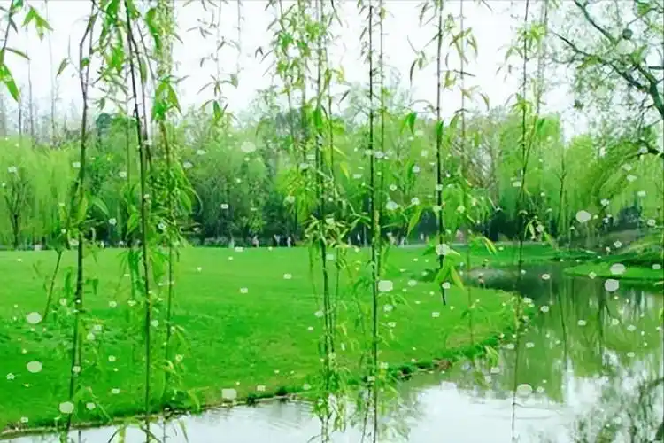 柳絮纷飞的唯美诗句(带有柳絮的优美诗句)