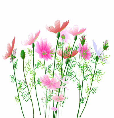 400_415gif 动态图 动图