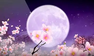 i>梅 /i> i>花 /i>月亮中秋节晚会晚会汇演