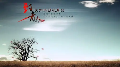 大树与嫩芽,我的青春回忆